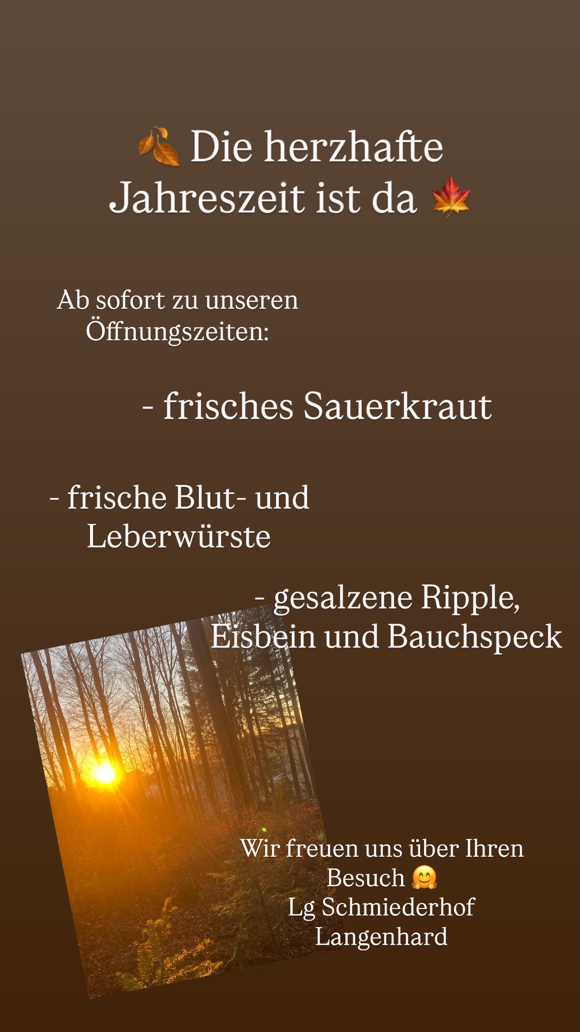 Blog Single