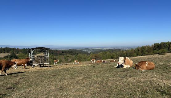 Unsere Tiere